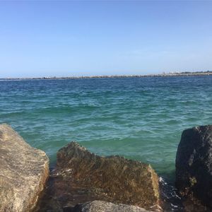 Meet your Posher, Trevor